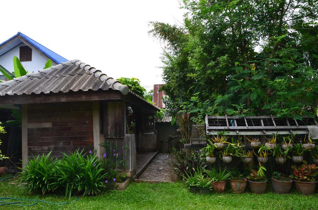 Pai Cat Hut Hostel Εξωτερικό φωτογραφία